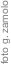 foto g. zamolo